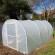 Buying a Polytunnel
